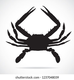 crab,sea, for cook, on White Background.