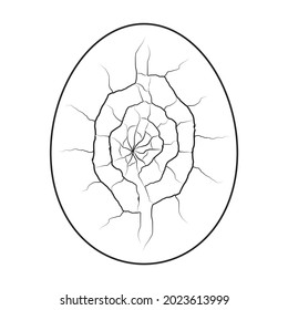 Crack egg vector icon. Outline vector icon isolated on white background crack egg.