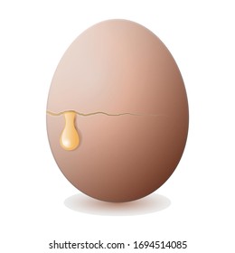 Icono vectorial de huevo de cacahuete. Icono vector realista aislado en huevo de crack de fondo blanco.