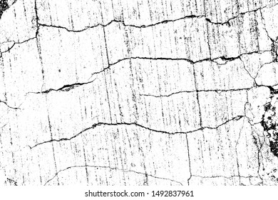crack ground for abstract background on white background