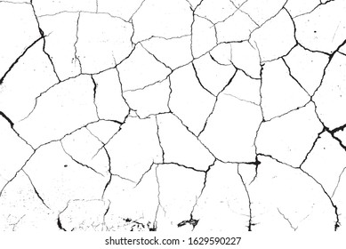 crack ground for abstract background on white background