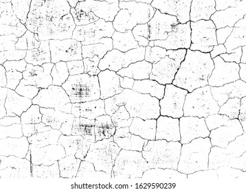 crack ground for abstract background on white background