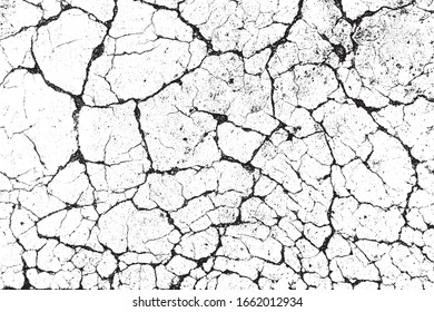 crack ground for abstract background on white background