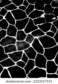 crack ground for abstract background on white background