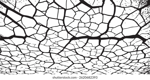 crack ground for abstract background on white background. White black grey wall, floor with cracks, texture background