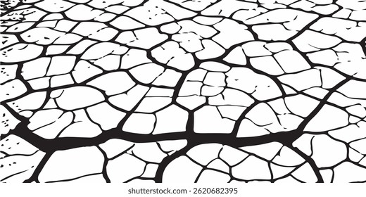 crack ground for abstract background on white background. White black grey wall, floor with cracks, texture background