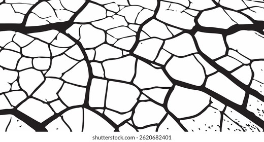 crack ground for abstract background on white background. White black grey wall, floor with cracks, texture background