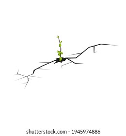 Crack in the ground. Dry desert or soil. A green young plant growing through a crevice. The power of the surrounding nature. Vector image