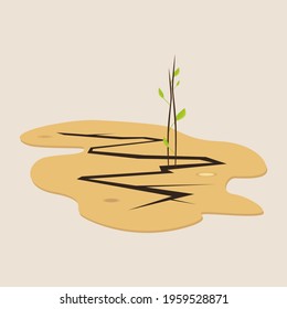 A crack in the ground and a young sprout. Drought. Fragment of the desert, an oasis. Green grass, a plant, sprouting through the dry soil of the desert.Tropical landscape, the power of the environment