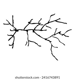 fisura, dibujo de mano vectorial doodle, aislado en blanco

