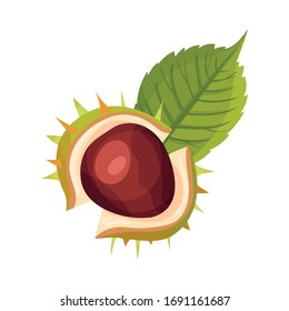 Cracked Chestnut Shell with Thorns and Brown Nut Inside Vector Illustration