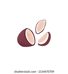 Cracked coconut, half piece and slices. Cut open coco nut fruit in brown shell. Fresh tropical exotic food in nutshell. Flat graphic vector illustration isolated on white background