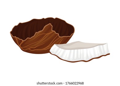 Cracked Coconut with Hard Shell and Fibrous Husk Showing White Inner Flesh Vector Illustration