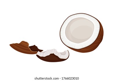 Cracked Coconut with Hard Shell and Fibrous Husk Showing White Inner Flesh Vector Illustration