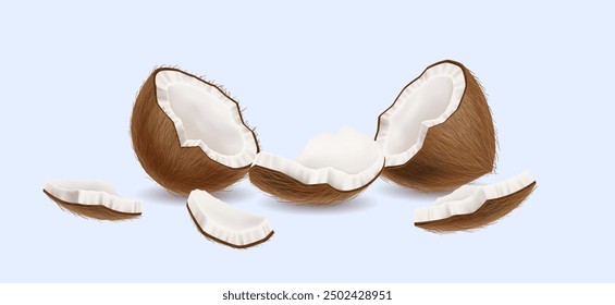 Cracked coconut with sweet pulp realistic vector illustration. Vegan dessert. Tasty exotic nut halves and pieces 3d object on light background