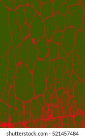 Cracked Color Texture For Your Design. EPS10 vector.