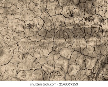 Cracked earth background. Dry ground surface with cracks. Mud cracks.