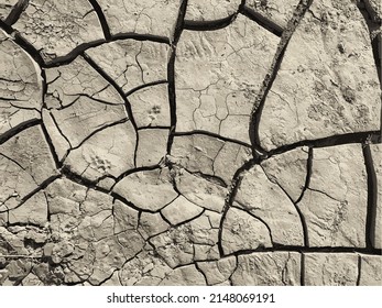 Fondo de tierra rota. Superficie seca del suelo con grietas. Grietas de barro.