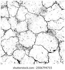 Cracked Earth Texture with Organic Patterns in Black and White