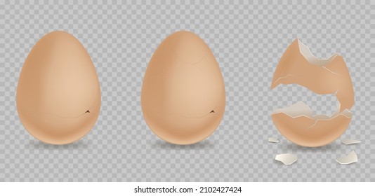 Cracked egg. Cartoon 3d realistic chicken broken eggs with cracks and smithers. Egg realistic Illustration