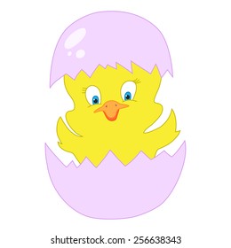 Cracked egg with cute bird inside