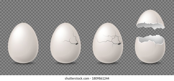 Cracked egg. Realistic white chicken eggs, whole broken with cracks and debris eggshell. Culinary cooking nutrition ingredient, farm bird incubator vector 3d isolated on transparent background set