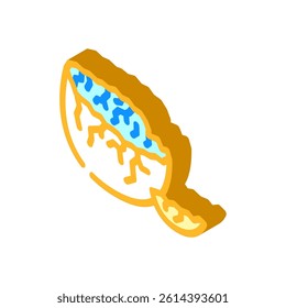 cracked eggshell fracture isometric icon vector. cracked eggshell fracture sign. isolated symbol illustration