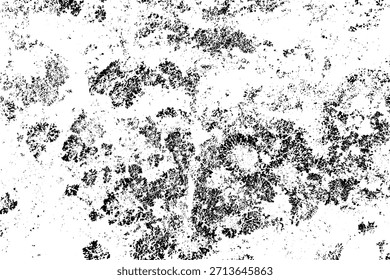 chão rachado, solo rachado, textura grunge fundo rachado, textura de fungo