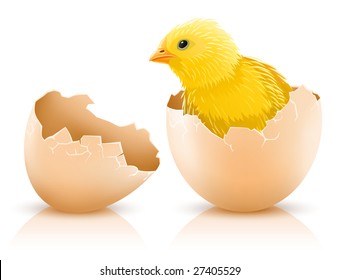 Cracked Hen's Egg With Chicken Baby Inside - Vector Illustration