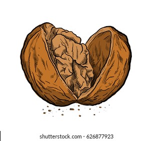 Walnut Cartoon Images, Stock Photos & Vectors | Shutterstock