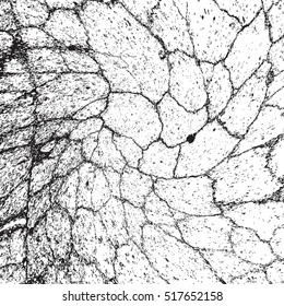 Cracked Overlay Texture For Your Design. EPS10 vector.