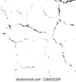 Cracked paint texture for your design. Dry grunge overlay background. EPS10 vector.