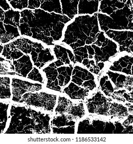 Cracked paint texture for your design. Dry grunge overlay background. EPS10 vector.