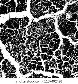 Cracked paint texture for your design. Dry grunge overlay background. EPS10 vector.