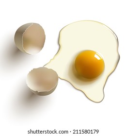 Cracked Raw Egg, Shell, Yolk And Albumen