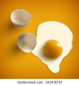 Cracked Raw Egg, Shell, Yolk And Albumen