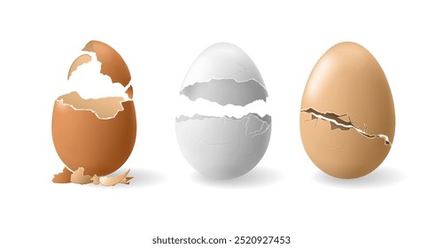 Cracked shells of chicken eggs of different colors. Vector isolated hatching or cooking, breaking eggshell of nutritious product. Realistic ingredient with copy space, uncooked or boiled