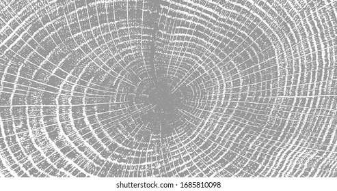 Cracked stump wood texture. Wood material surface. Vintage effect grit texture. Natural wooden stump trace. Lumber surface. Vector illustration