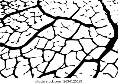 Superficie agrietada, textura grunge, fondo blanco, destrucción