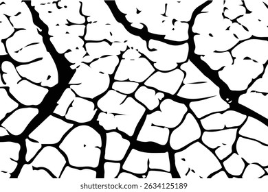 Superfície rachada, textura grunge, fundo branco, destruição