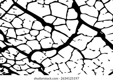 Risse auf der Oberfläche, farbige Textur, weißer Hintergrund, Zerstörung