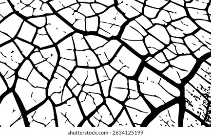 Cracked surface, grunge texture, white background, destruction