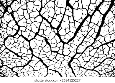 Cracked surface, grunge texture, white background, destruction