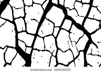 Superfície rachada, textura grunge, fundo branco, destruição