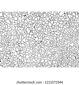 Cracked texture. Cracks and scratches. Vector grunge illustration.