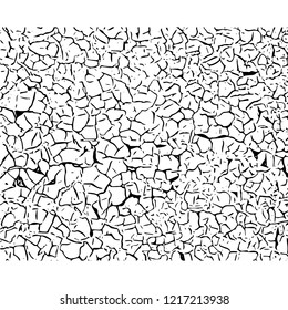 Cracked texture. Cracks and scratches. Vector grunge illustration.