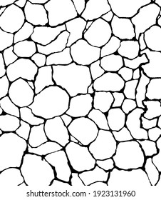 cracked texture pattern in vector art style