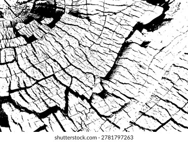 Cracked vintage tree stump surface showing natural texture and annual wood rings. Close up tree stump cracks