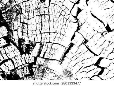 Cracked vintage tree stump surface showing natural texture and annual wood rings. Close up tree stump cracks