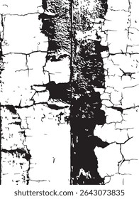 Cracked and Weathered Surface Texture in Black and White